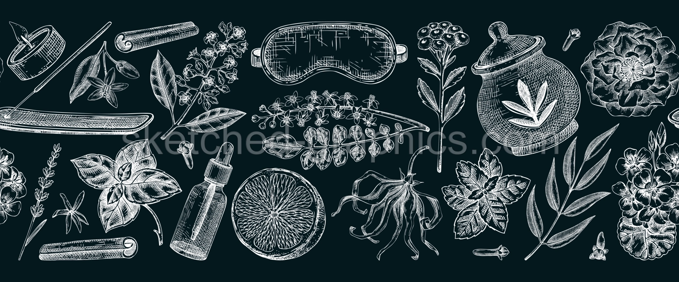 Aromatherapy seamless ribbon. Spa and wellness hand-drawn vector illustrations.Self care floral pattern on chalkboard. NOT AI generated Illustration